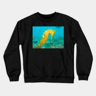 YELLOW SEAHORSE Crewneck Sweatshirt